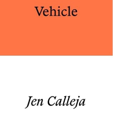 Vehicle book cover.jpg
